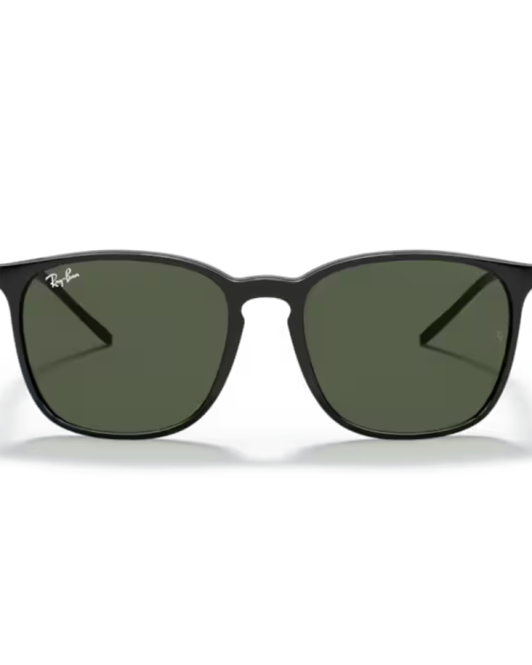 RAY BAN Очила за сонце 0RB4387 6017156