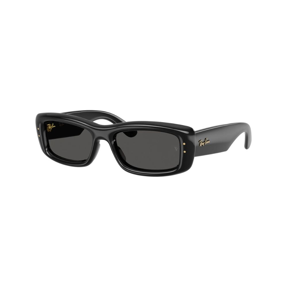 RAY-BAN Puffer Очила за сонце BY A$AP ROCKY 0RB4944 601/87 55