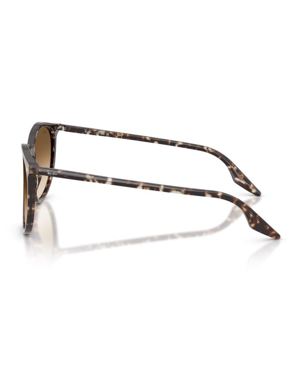 RAY BAN Очила за сонце 0RB2204 143151 54