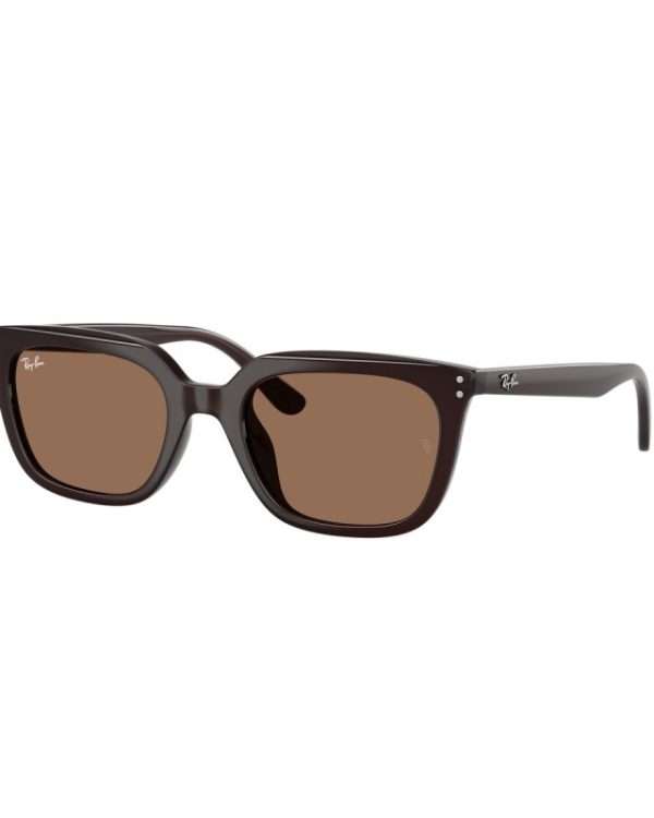 RAY BAN Очила за сонце 0RB4439D 623173 54