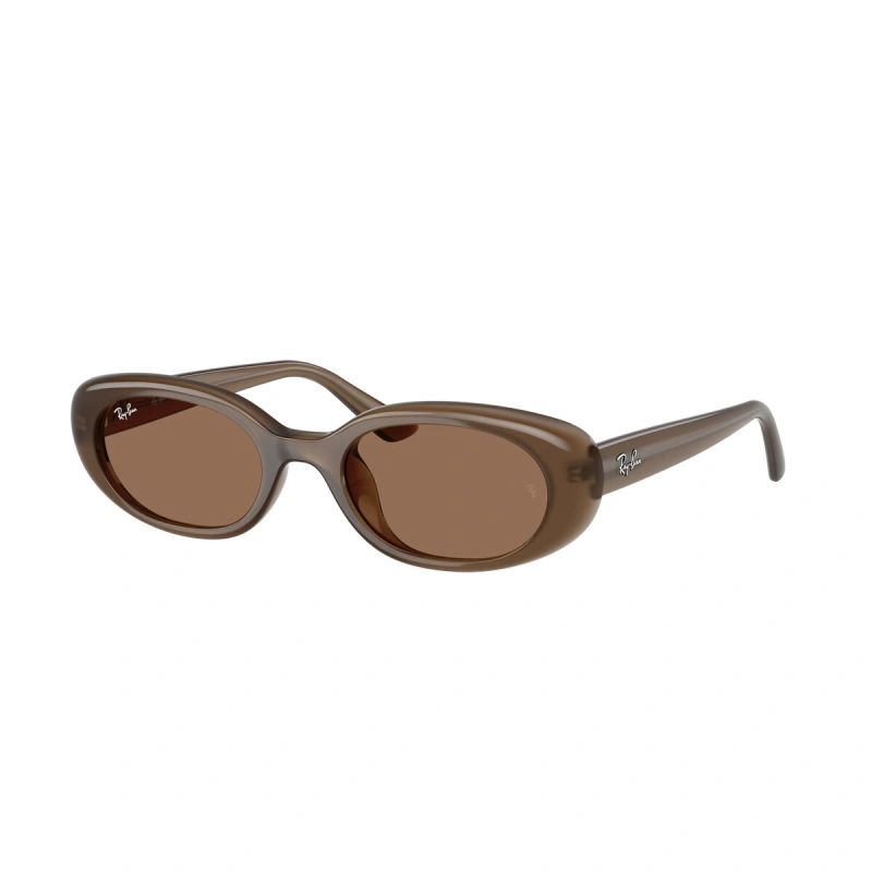 RAY BAN Очила за сонце 0RB4441D 677973 53