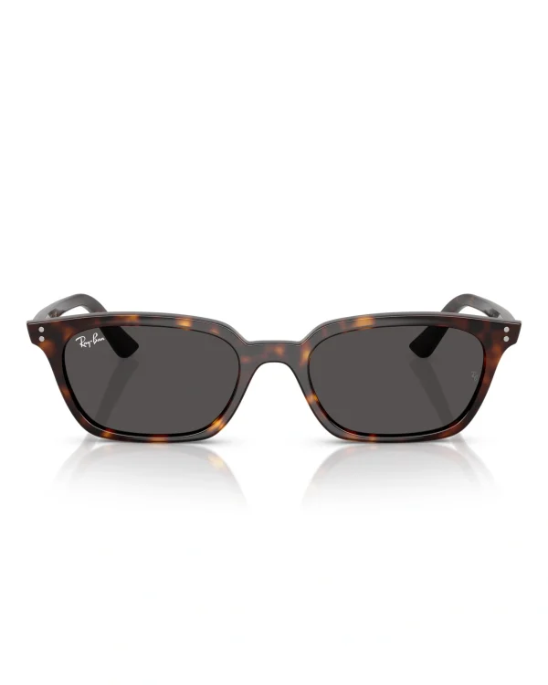 RAY-BAN ZAYA Очила за сонце 0RB4456 135987 53