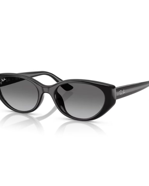 RAY BAN Очила за сонце 0RB4457D 667711 55